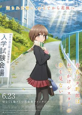 全集免费观看超清