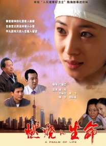 手机在线观看