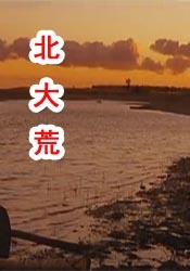 BD国语全集免费观看