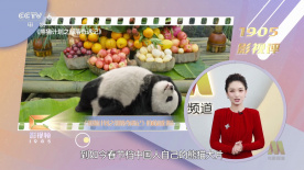 再见律师小姐
